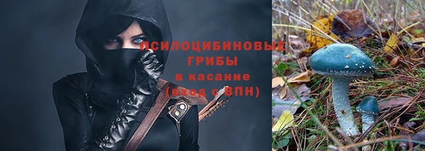 круглые Инта