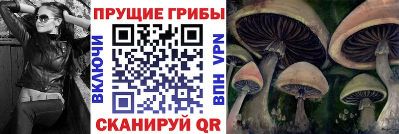 Галлюциногенные грибы Cubensis  Купить  Бокситогорск 